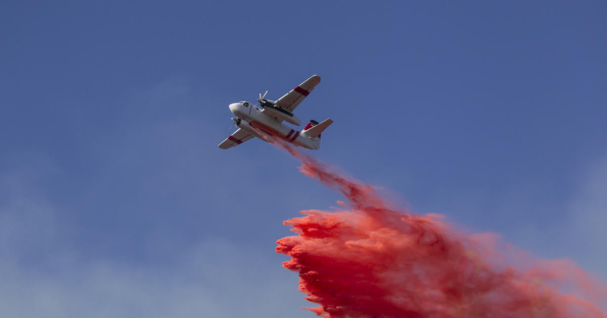 US Forest Service sued by an environmental group for allegedly
