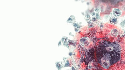 virus infection