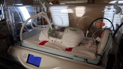 neoanate traveller system european air ambulance