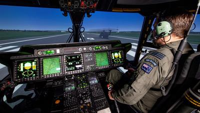 CAE simulator