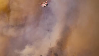 firefighting turkey