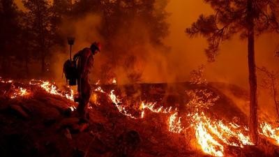 Wildfire