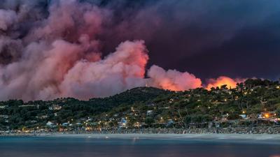 Forest fire