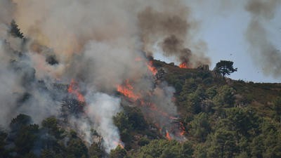 spanish forest fire