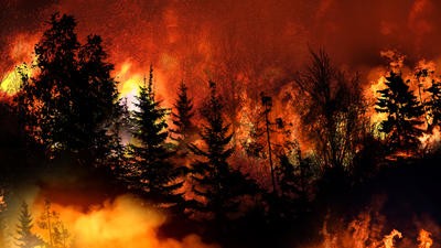 US Wildfire