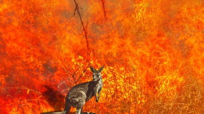bushfire australia