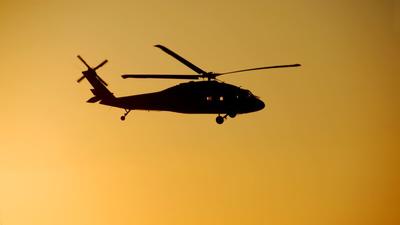 Victoria Black Hawk sml