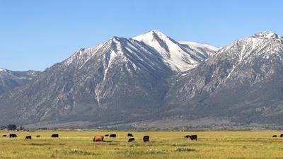 nevada mountains