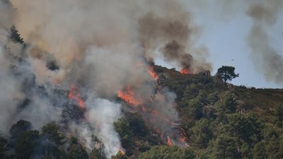 Spain wildfire