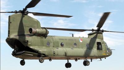 netherlands chinook