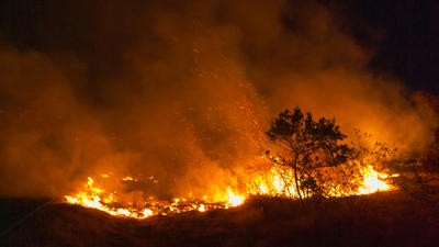 bushfire sri lanka GettyImages-1412393824