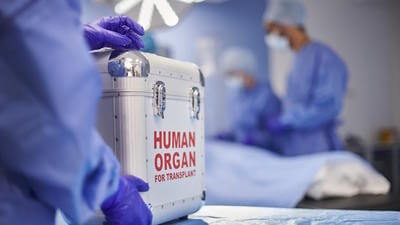 Organ transplant
