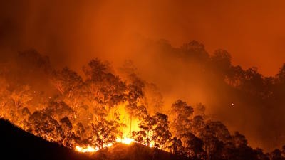 Australia bushfire