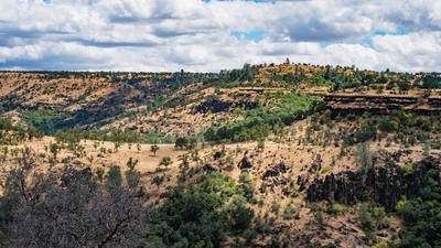 Tehama County landscape