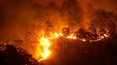 wildfire 