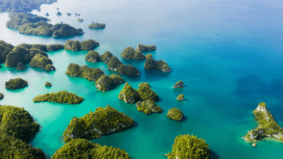 Sar-Indonesia1