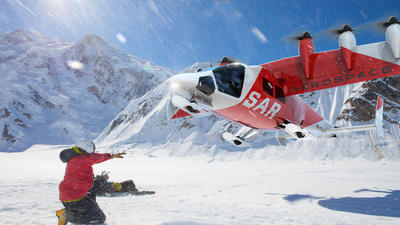 Loft Dynamics SAR avionics image