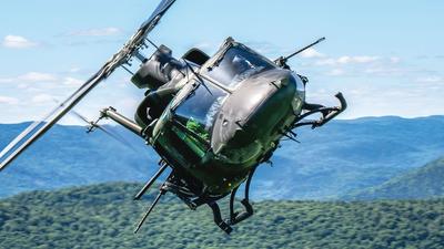 Image of Griffon CH-146C MK II in flight