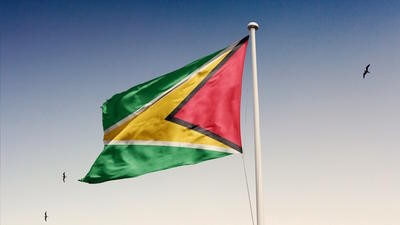 Guyana flag