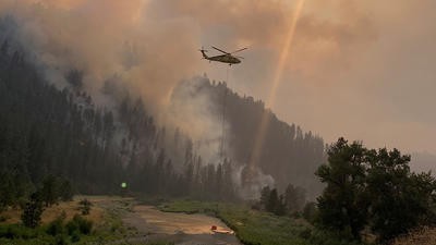 Fire-fighter helicopter by woods