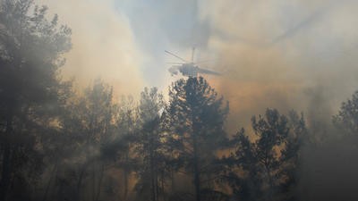 Helicopter flying over smokey trees