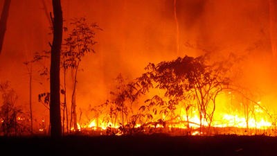 Queensland bushfire