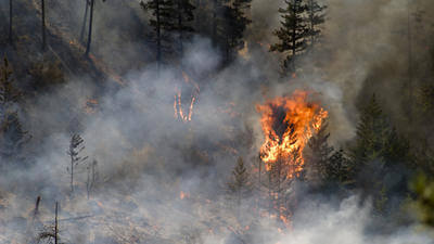 Canada expands aerial firefighting capacity after record wildfires