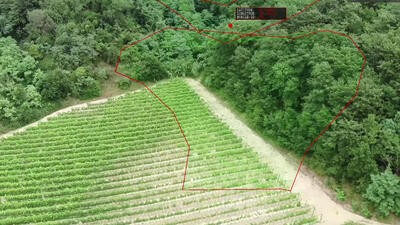 Flysight