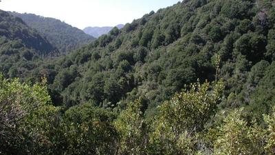 Lost runner drinks own breast milk