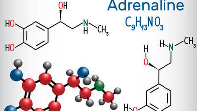 In-flight treatment for anaphylactic patients 