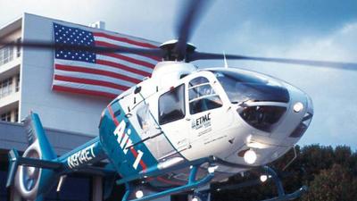 Bird strike prevention measures prove effective: Metro Aviation