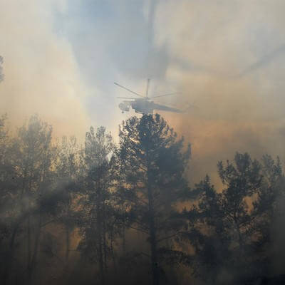 Helicopter flying over smokey trees