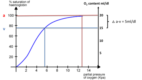 hypoxia graph oxygen saturation