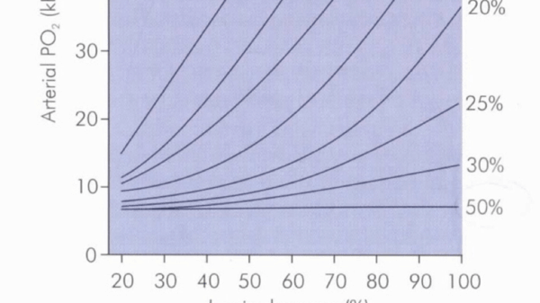 shunt hypoxia graph