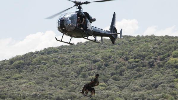 Paramount K9