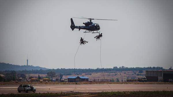 Paramount K9 training
