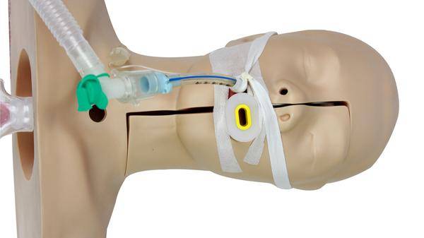 mannequin airway