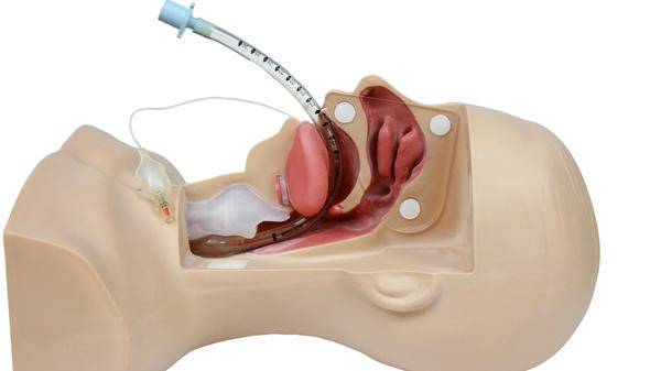 mannequin training paramedic airway