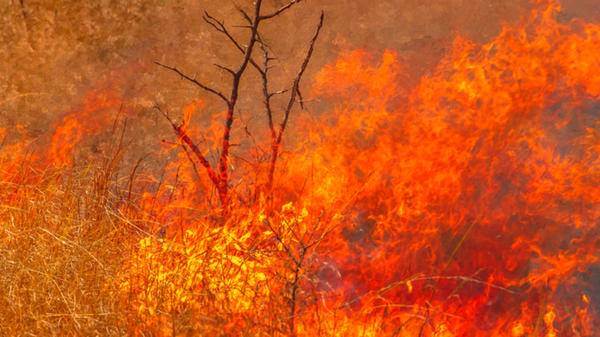 fire australia