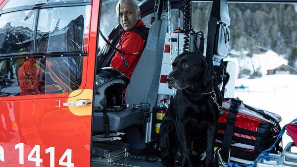 rega avalanche rescue dog