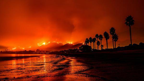 forest fire