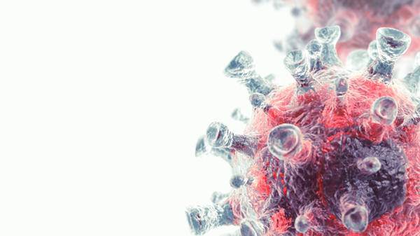 virus infection
