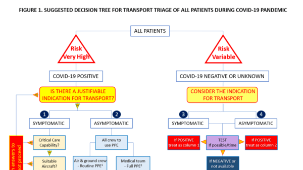 covid 19 air transport decision tree