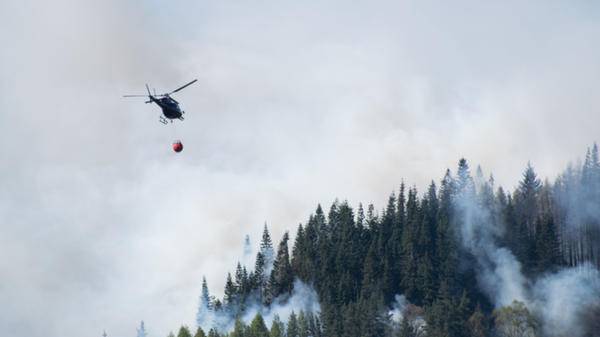 firefighting helicopter forest europe