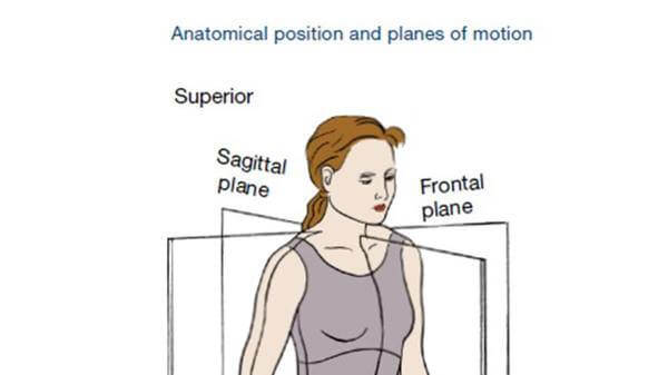Planes of motion