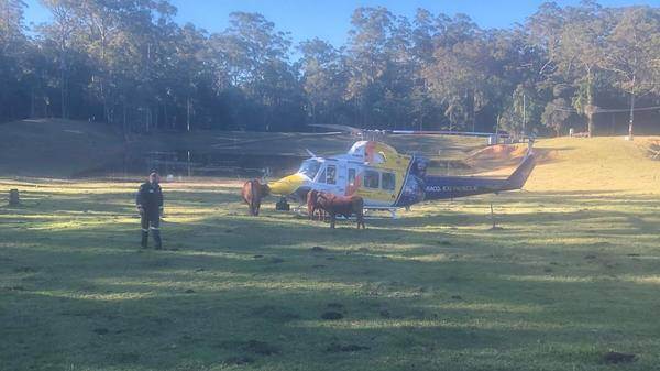 RACQ CQ Bull Rescue