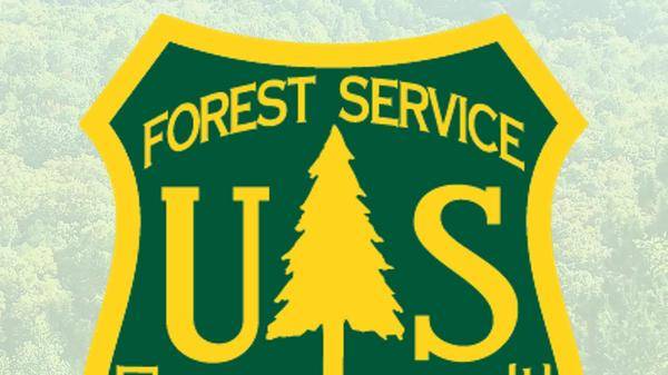 US forest service