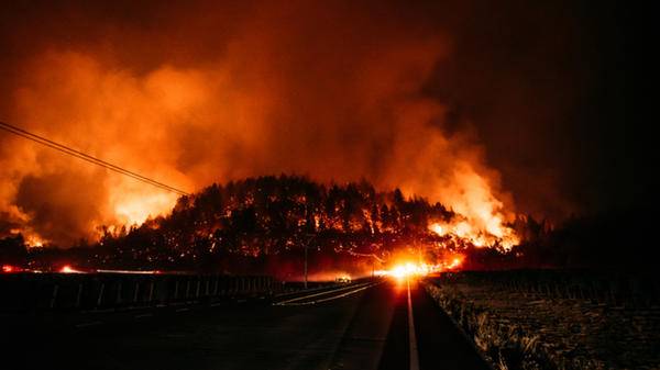 Wildfire
