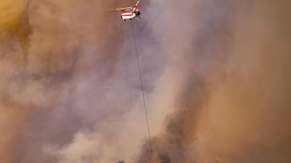 firefighting turkey
