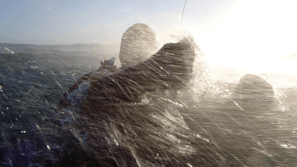 Rescue swimmers